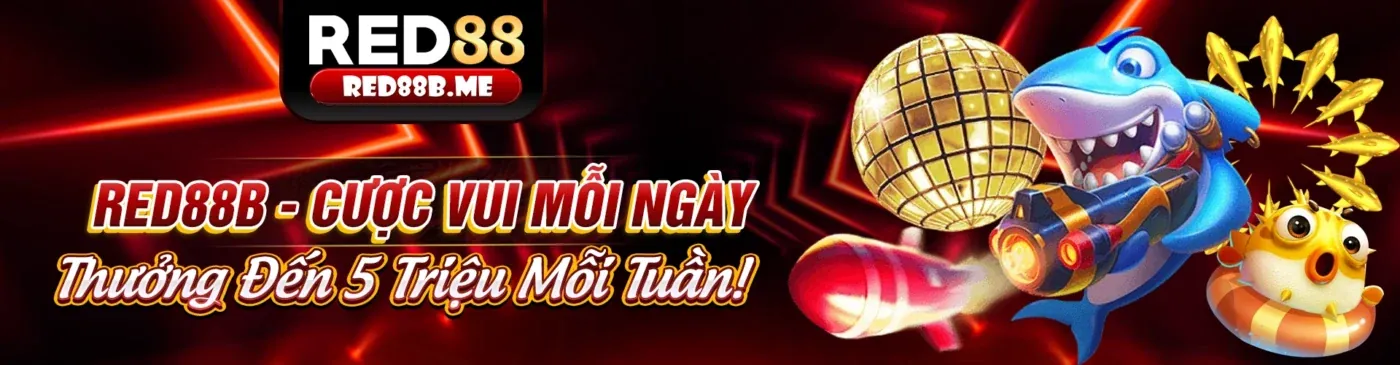 Hoàn trả hàng ngày cho đá gà